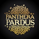 panthera pardus 2